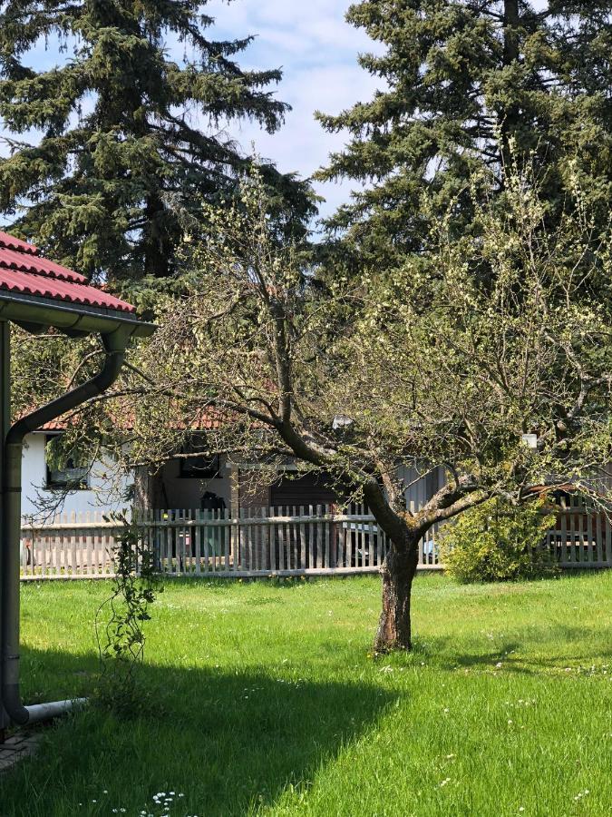 Villa Casa „Ella“ Friedrichroda Exterior foto